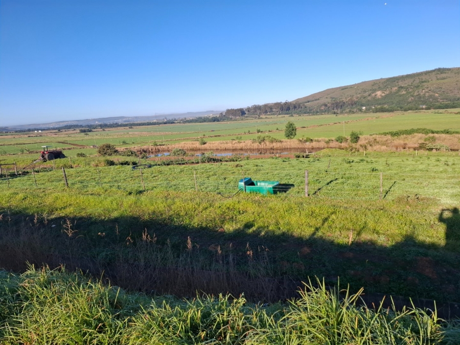 6 Bedroom Property for Sale in Riversdale Rural Western Cape